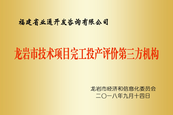龙岩技术项目完工投产评价第三方机构